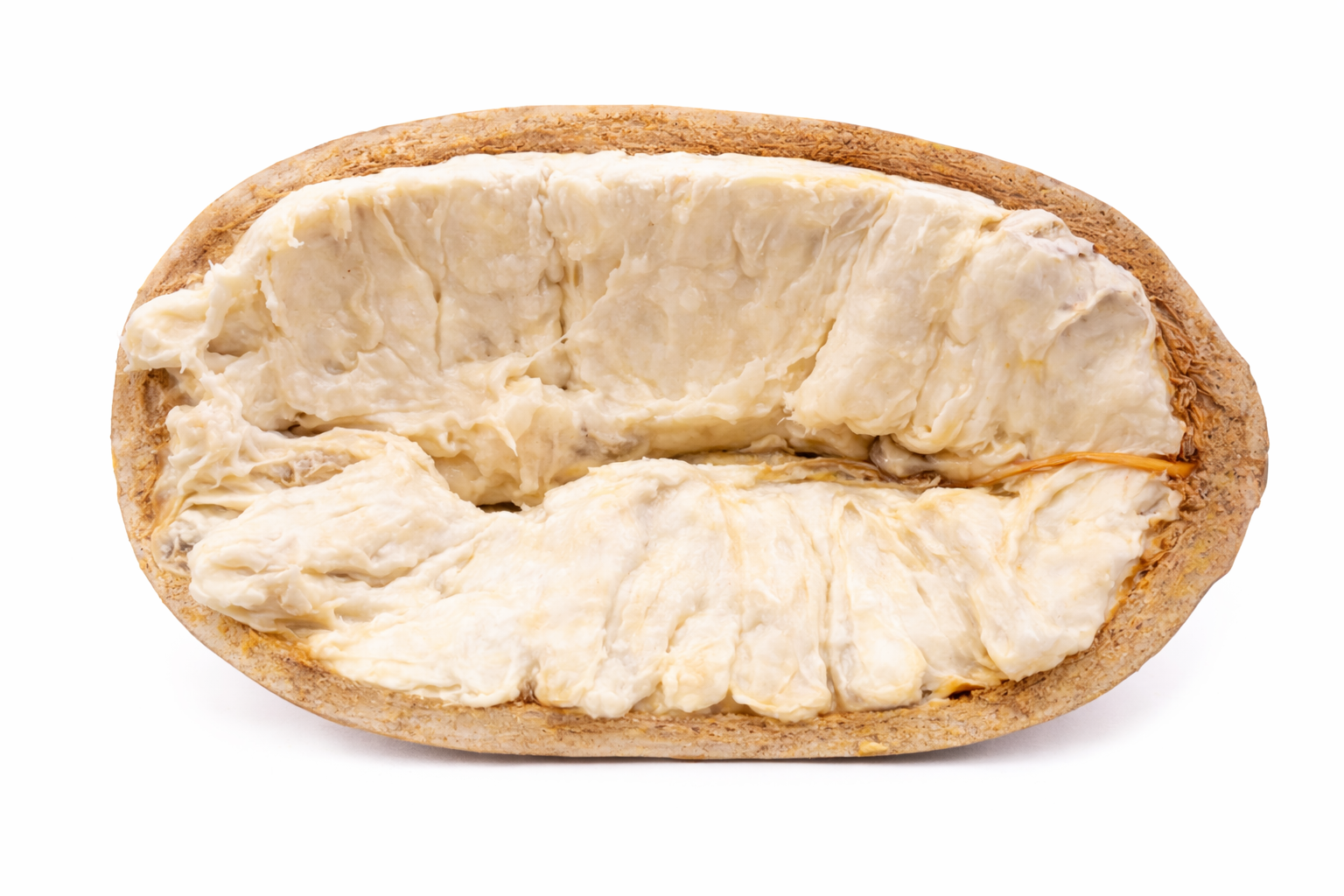 Copoazú colgando del árbol